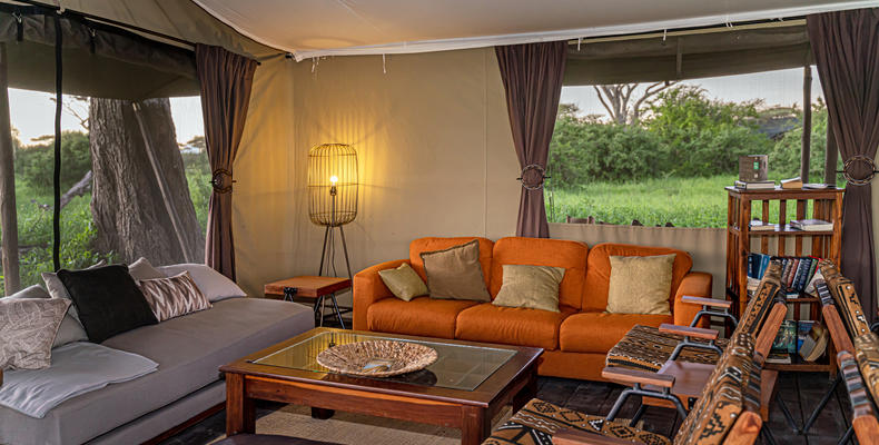 Main Area - Lounge