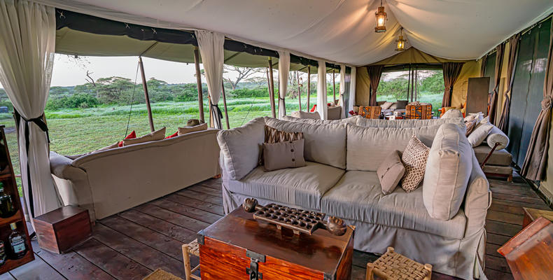 Main Area - Lounge