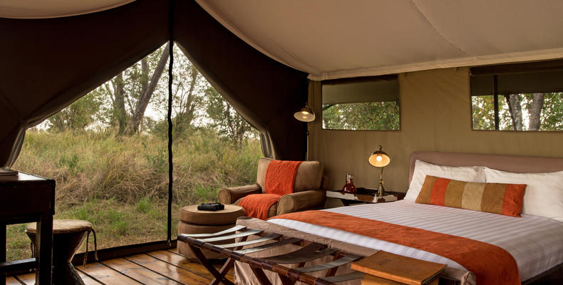 Standard Tent