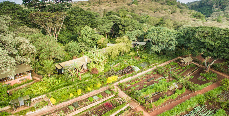 Arial view of Gibb's Farm