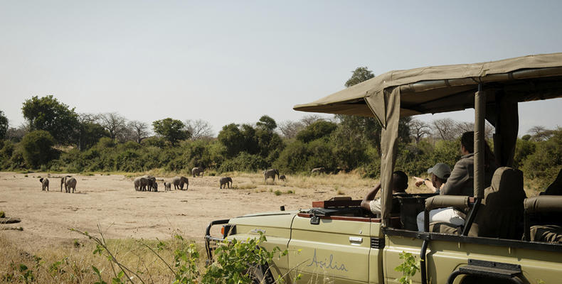 Kwihala - Elephants spotted on game drive