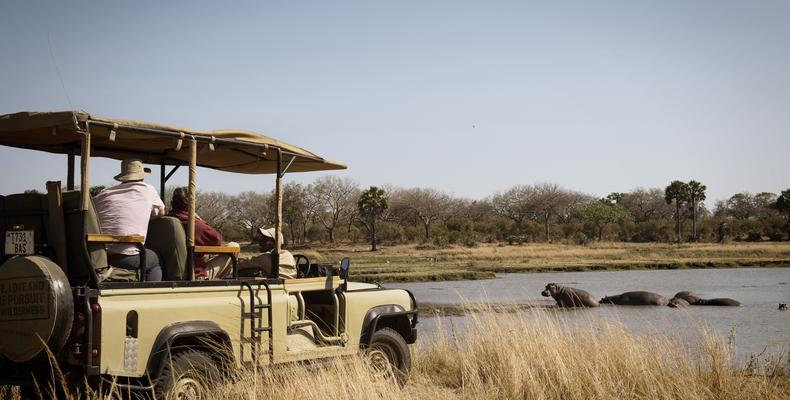 Game drives in Katavi