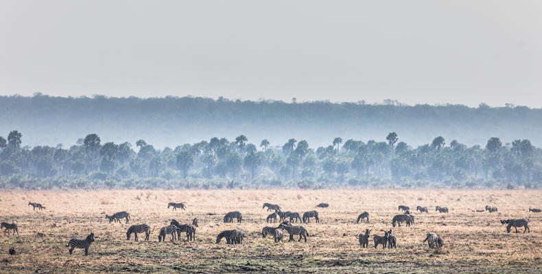 Chada Plain