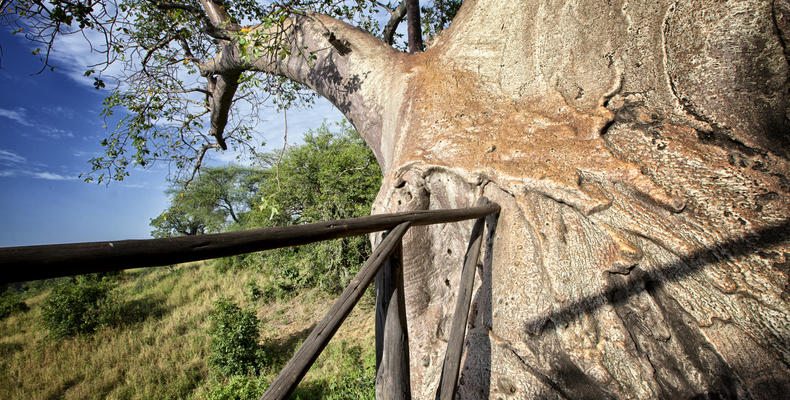 Mbali Mbali Tarangire River Camp