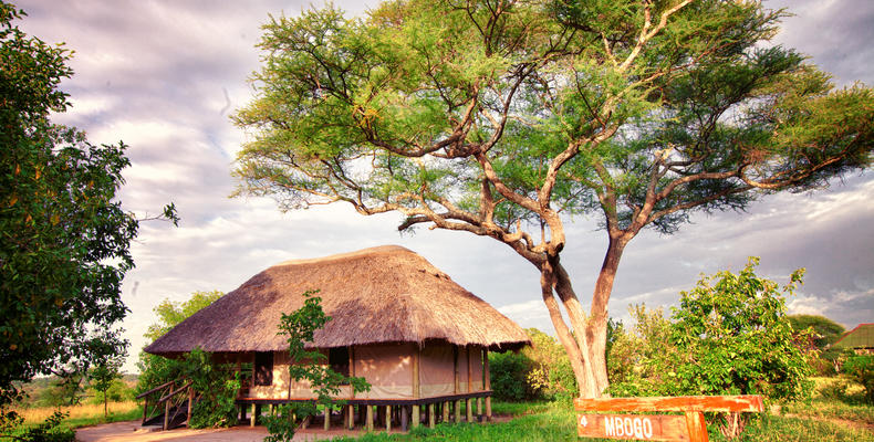 Mbali Mbali Tarangire River Camp