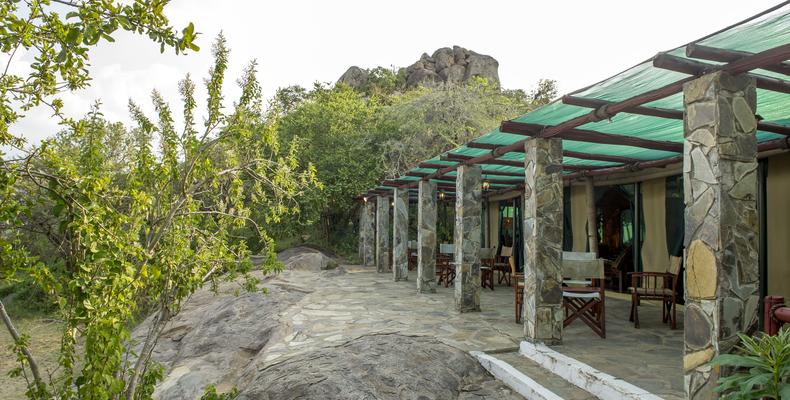 Tent Terrace