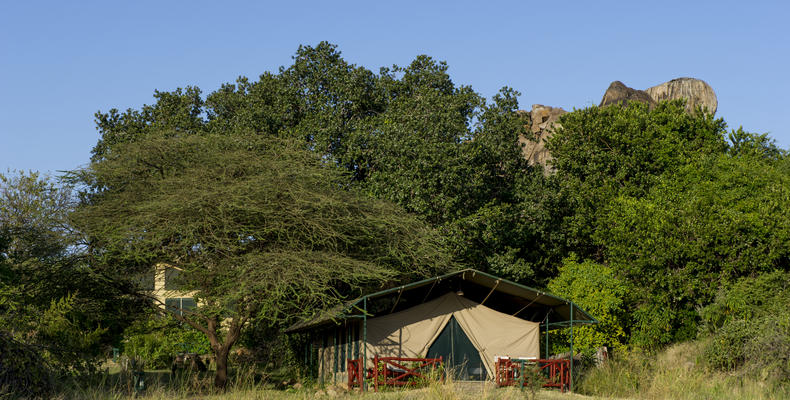 Tents