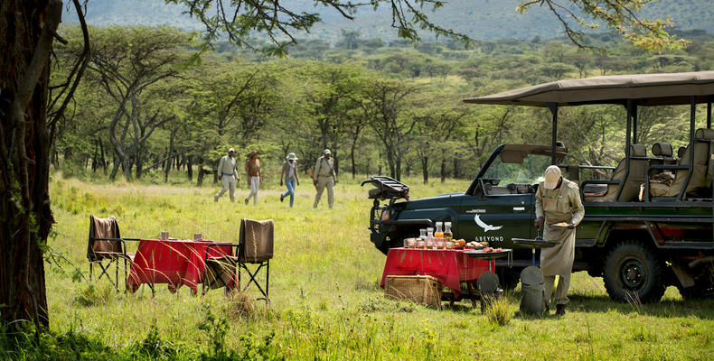 andBeyond Klein's Camp Picnic