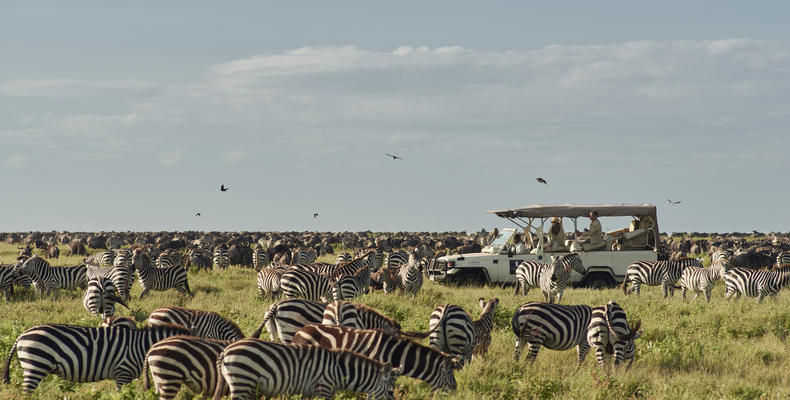 Sanctuary Kusini Game Drive