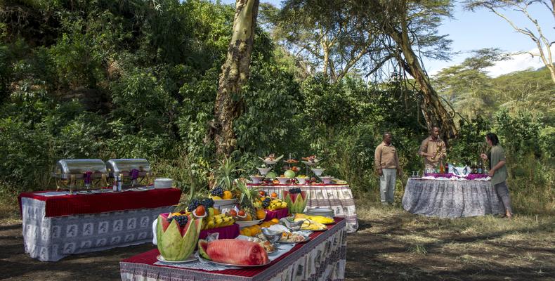 Bush Dinner