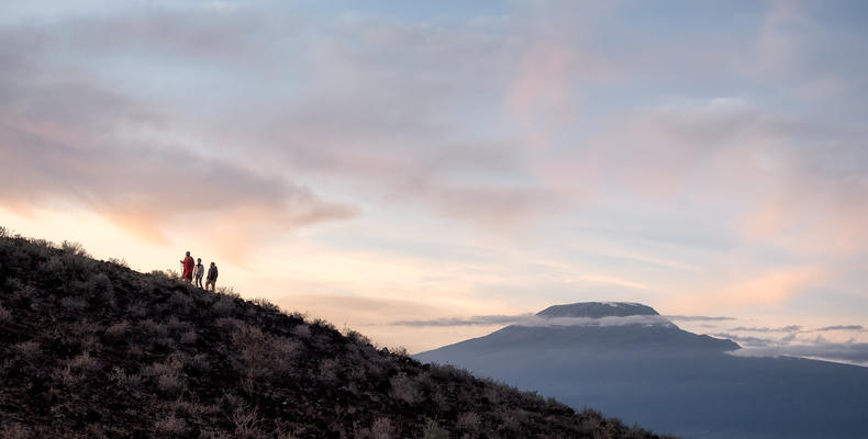 Tortilis Camp Amboseli