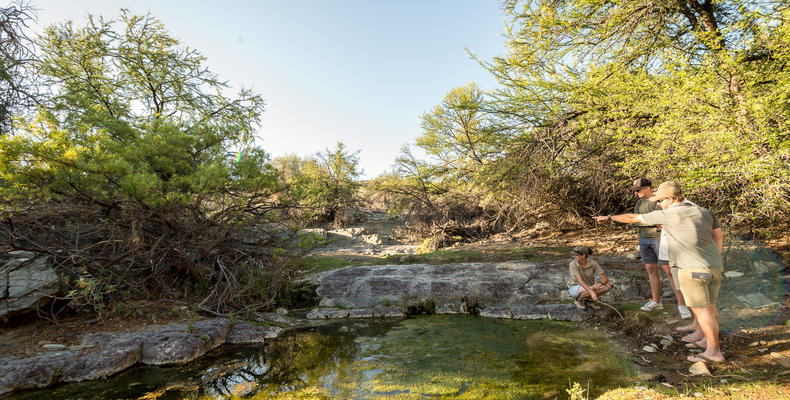 Roam Private Game Reserve Landscape