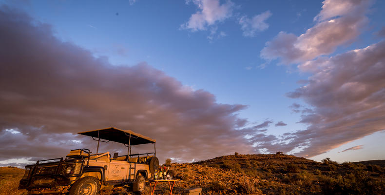Roam Safari Lodge Game Drives