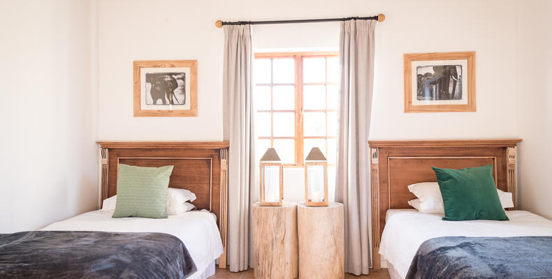 Twin Room at Safari Lodge