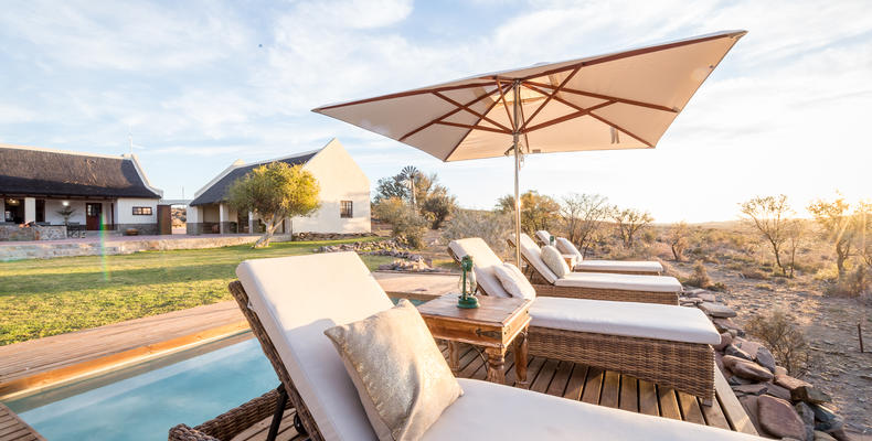 Roam Safari Lodge Pool and Lawn