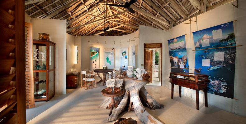 Mnemba Island Lodge - 