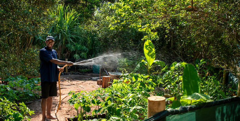 Mnemba Island Lodge - 