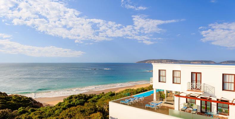 Blue Wing with Plettenberg 