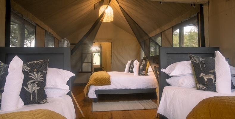 Family luxury tent
