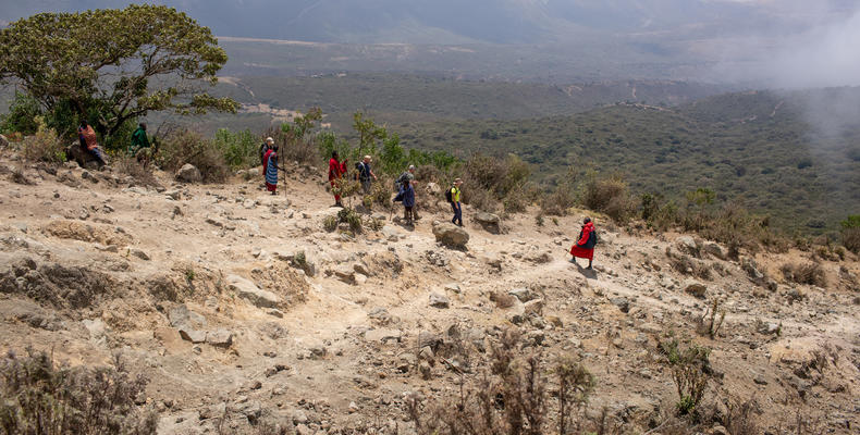 Trekking to Leonotis 