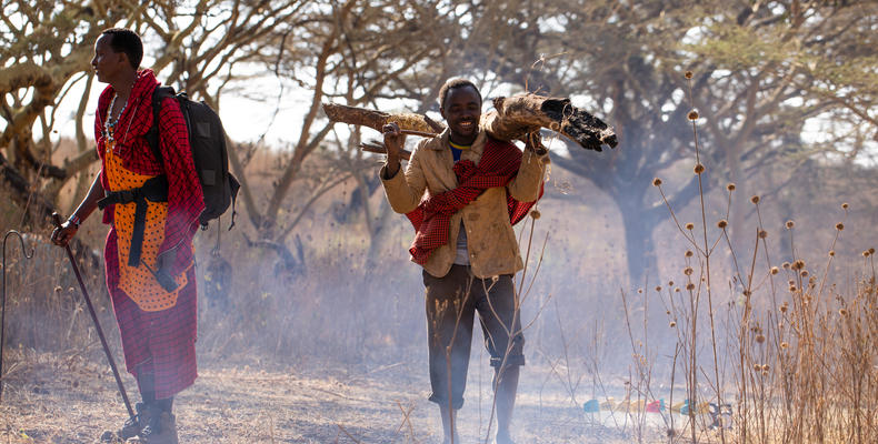 Collecting fire wood