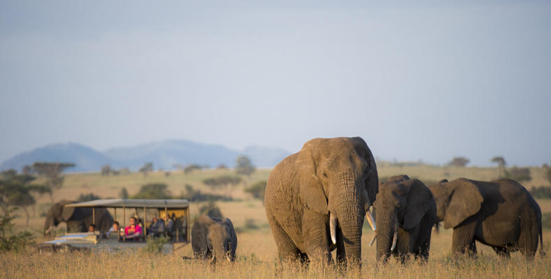   Singita Serengeti