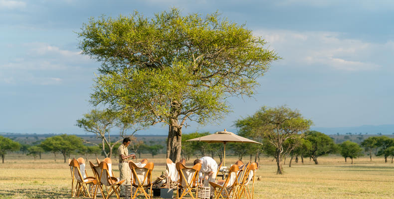   Singita Serengeti