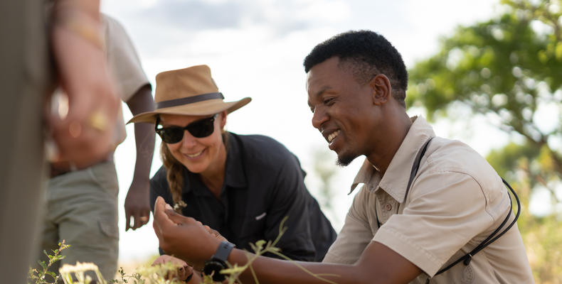   Singita Serengeti