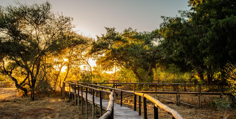 Pafuri Camp - Walkways