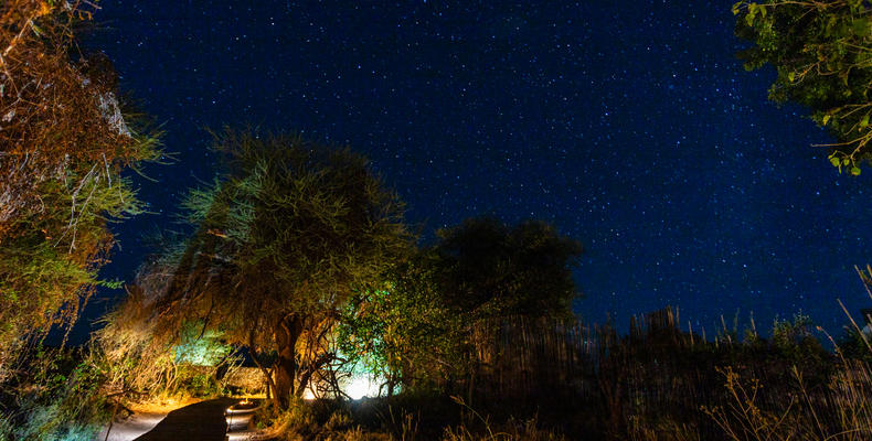 Pafuri Camp - Walkway 