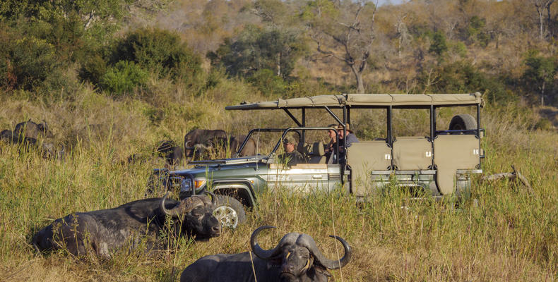 Fitzpatrick's Villa at Jock Safari Lodge