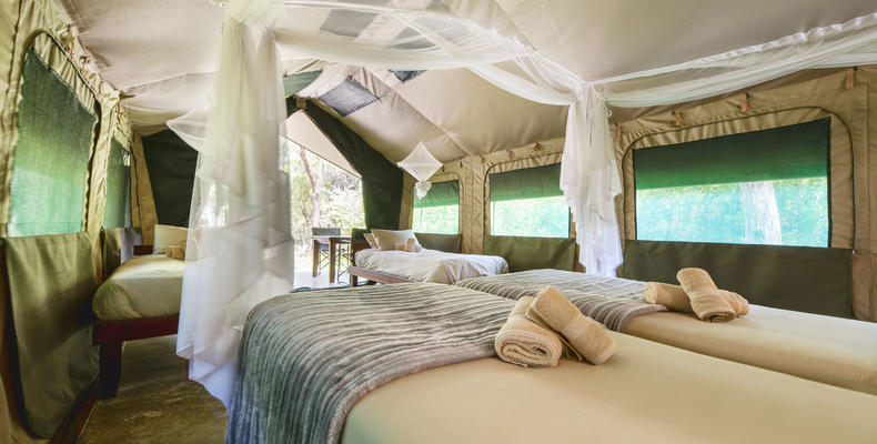 Zambezi Mubala Camp 
