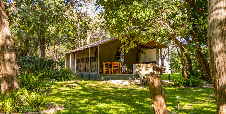 Zambezi Mubala Camp 