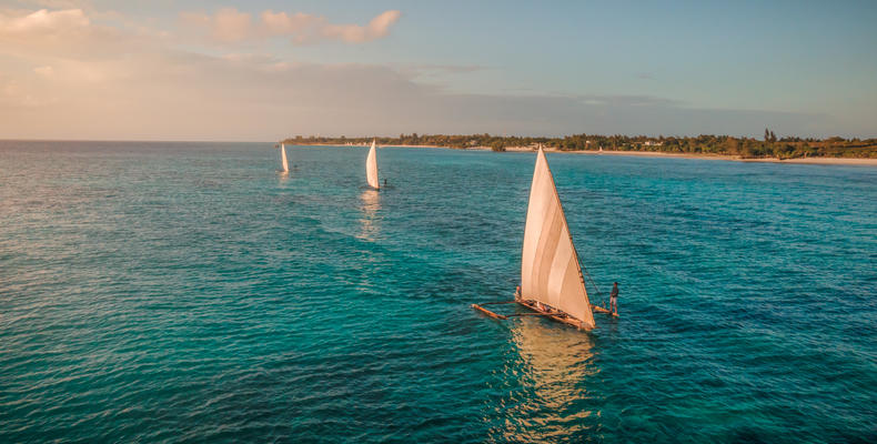 Ngalawa Cruise 