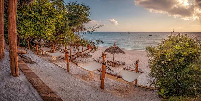 Beach Bar Swings