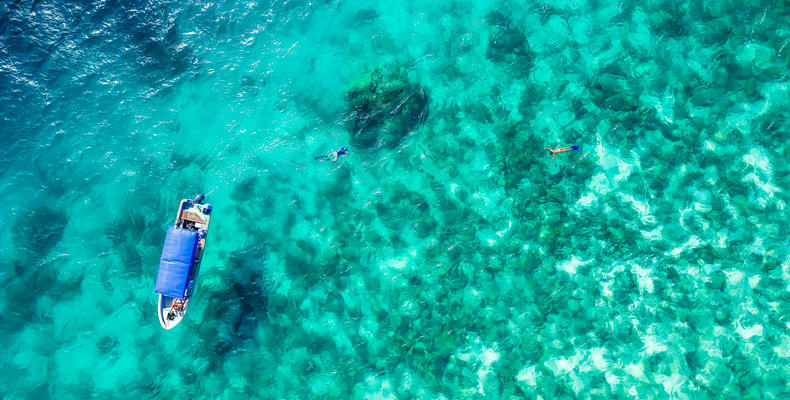 Snorkel for Conservation