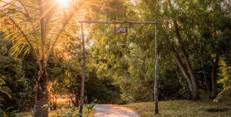 Pathway to Spa