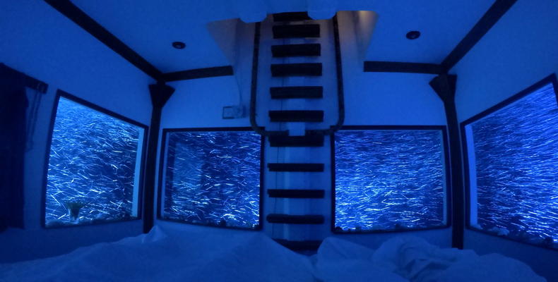 Underwater Room - Fish