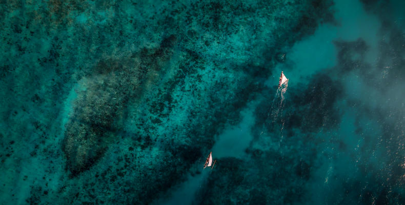 Ngalawa sailboats
