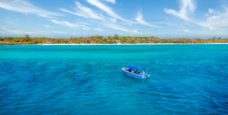 Snorkelling for conservation