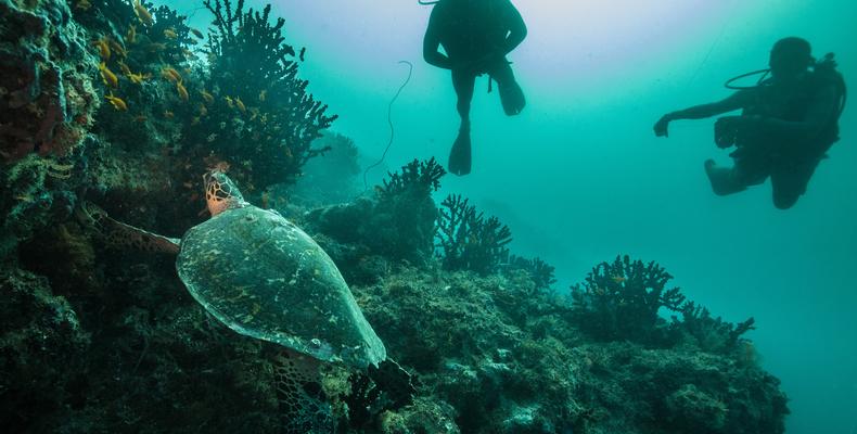 Azura Quilalea Private Island