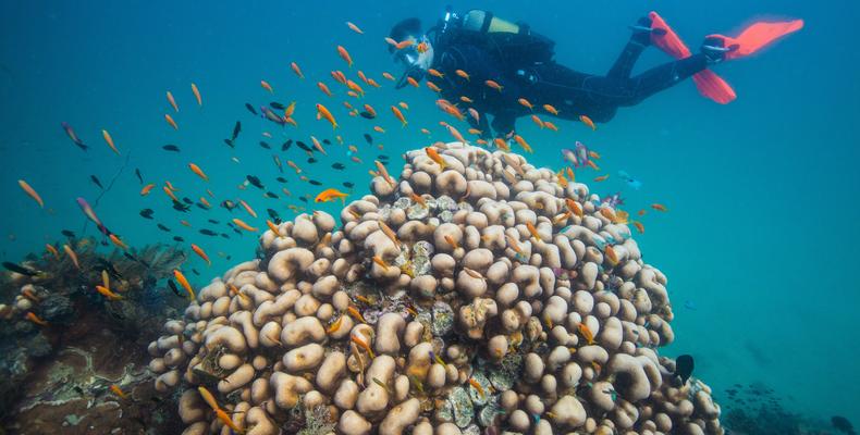 Azura Quilalea Private Island