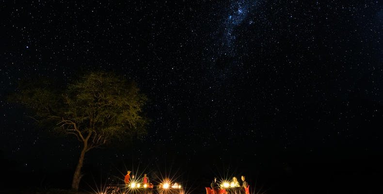 Bush DIning under the stars