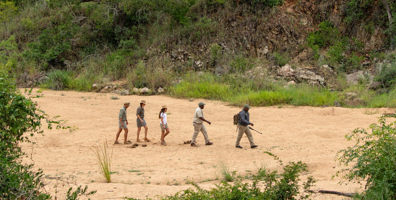 bush walk