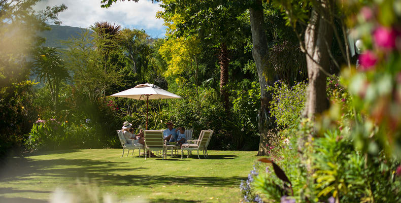 The garden 