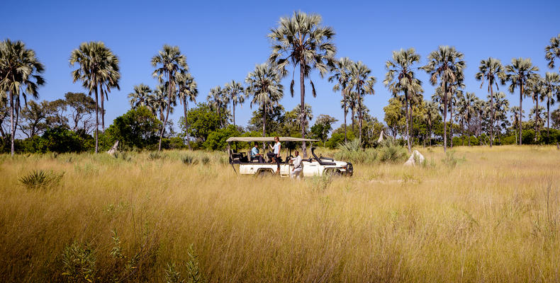 Sanctuary Stanley's Camp game drive