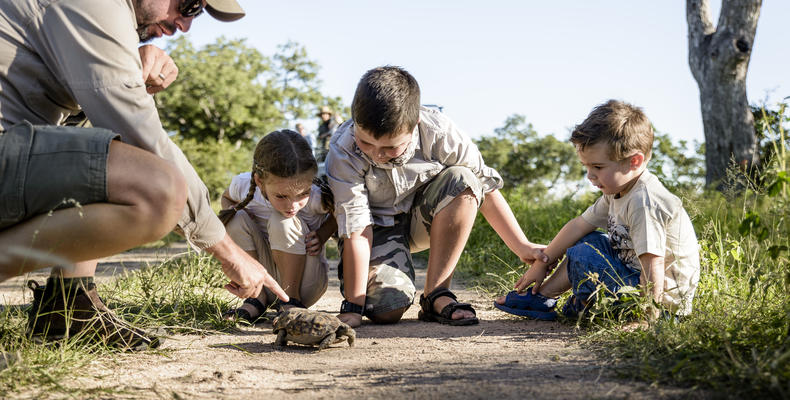 Singita Boulders Lodge