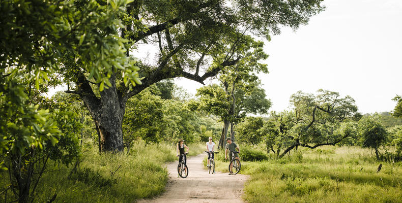 Singita Boulders Lodge