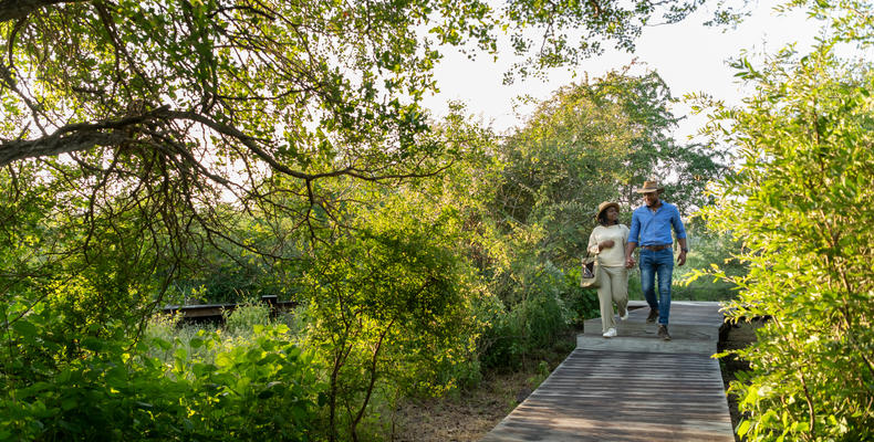 Lebombo Lodge Walkway