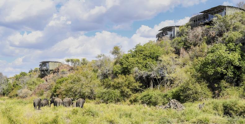 Landscape View of the Lodge